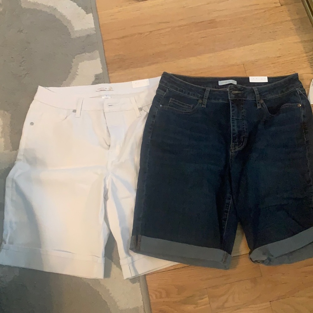 Two Pairs of Denim Shorts